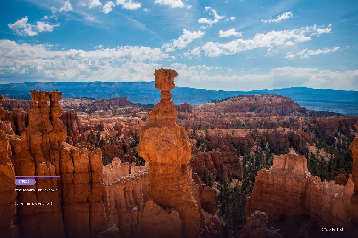 What Does the Bible Say About Contentment vs. Ambition?