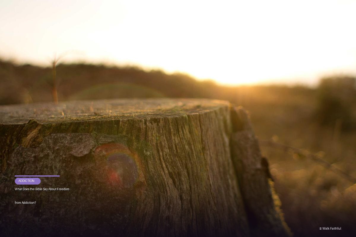 What Does the Bible Say About Freedom from Addiction?