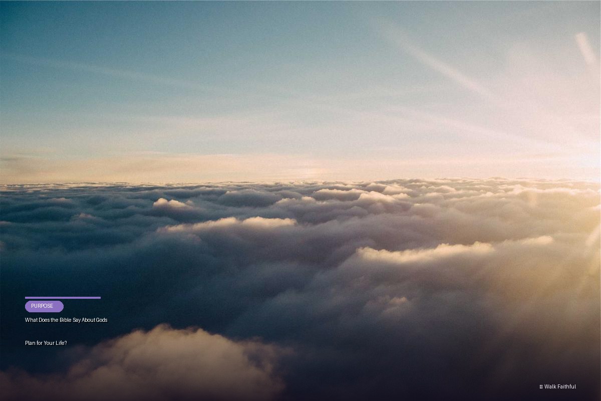 What Does the Bible Say About God’s Plan for Your Life?