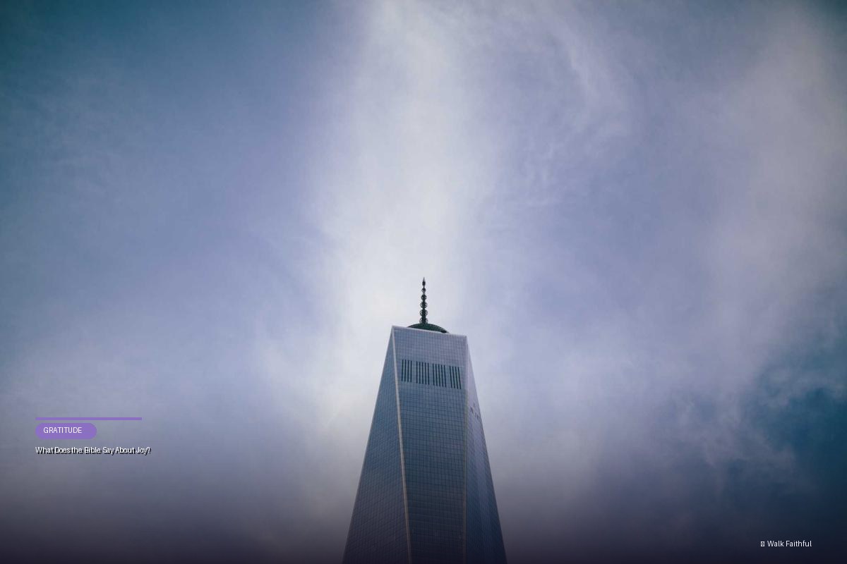 What Does the Bible Say About Joy?