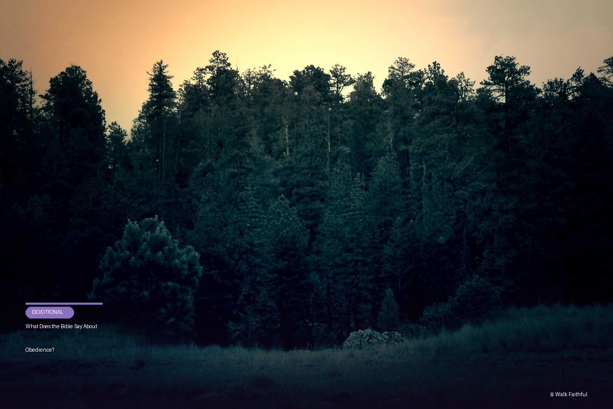 What Does the Bible Say About Obedience?