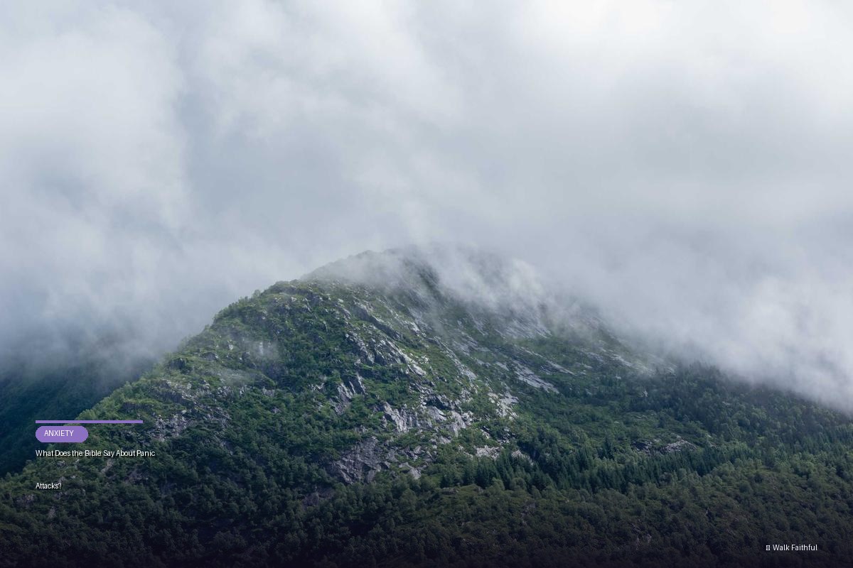 What Does the Bible Say About Panic Attacks?