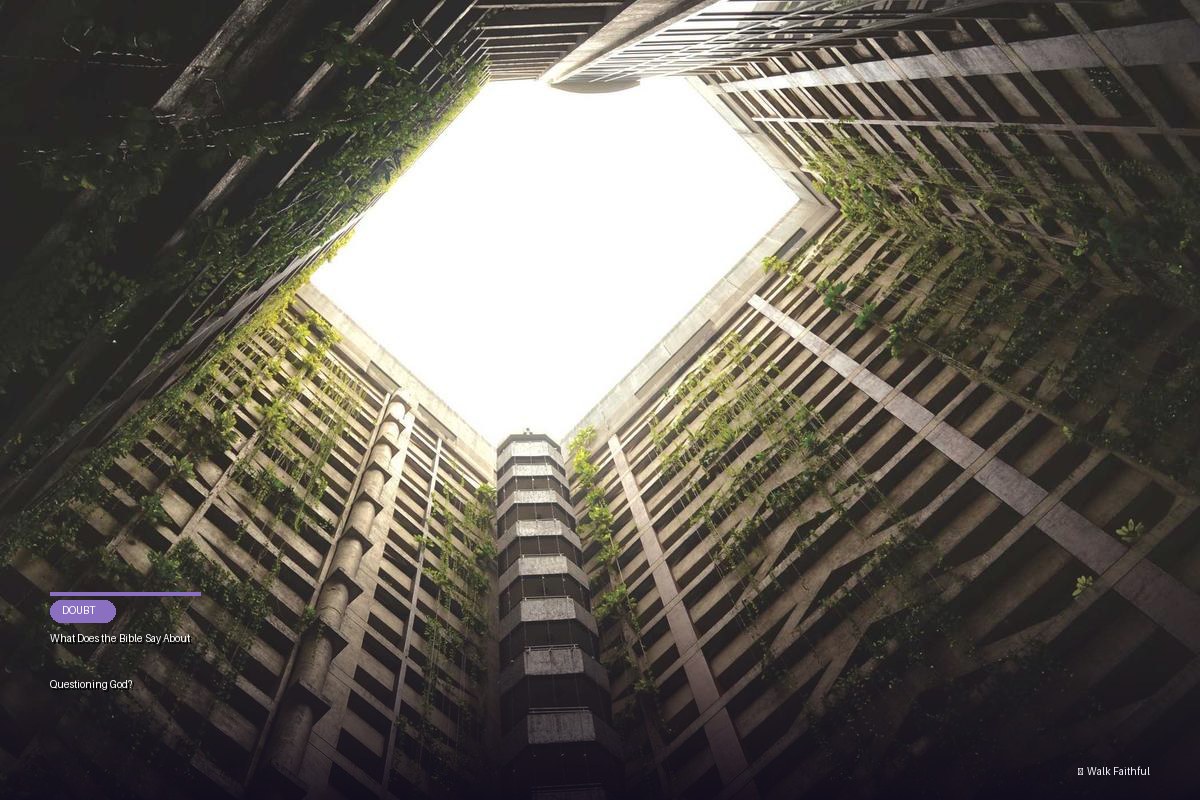 What Does the Bible Say About Questioning God?