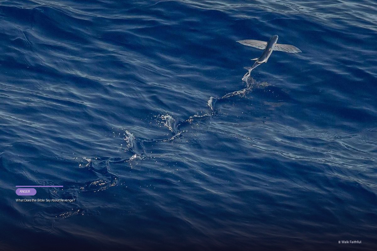 What Does the Bible Say About Revenge?