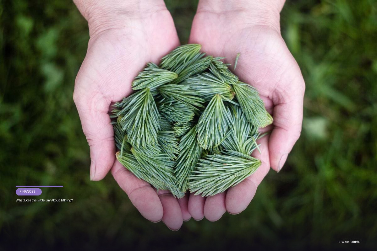 What Does the Bible Say About Tithing?