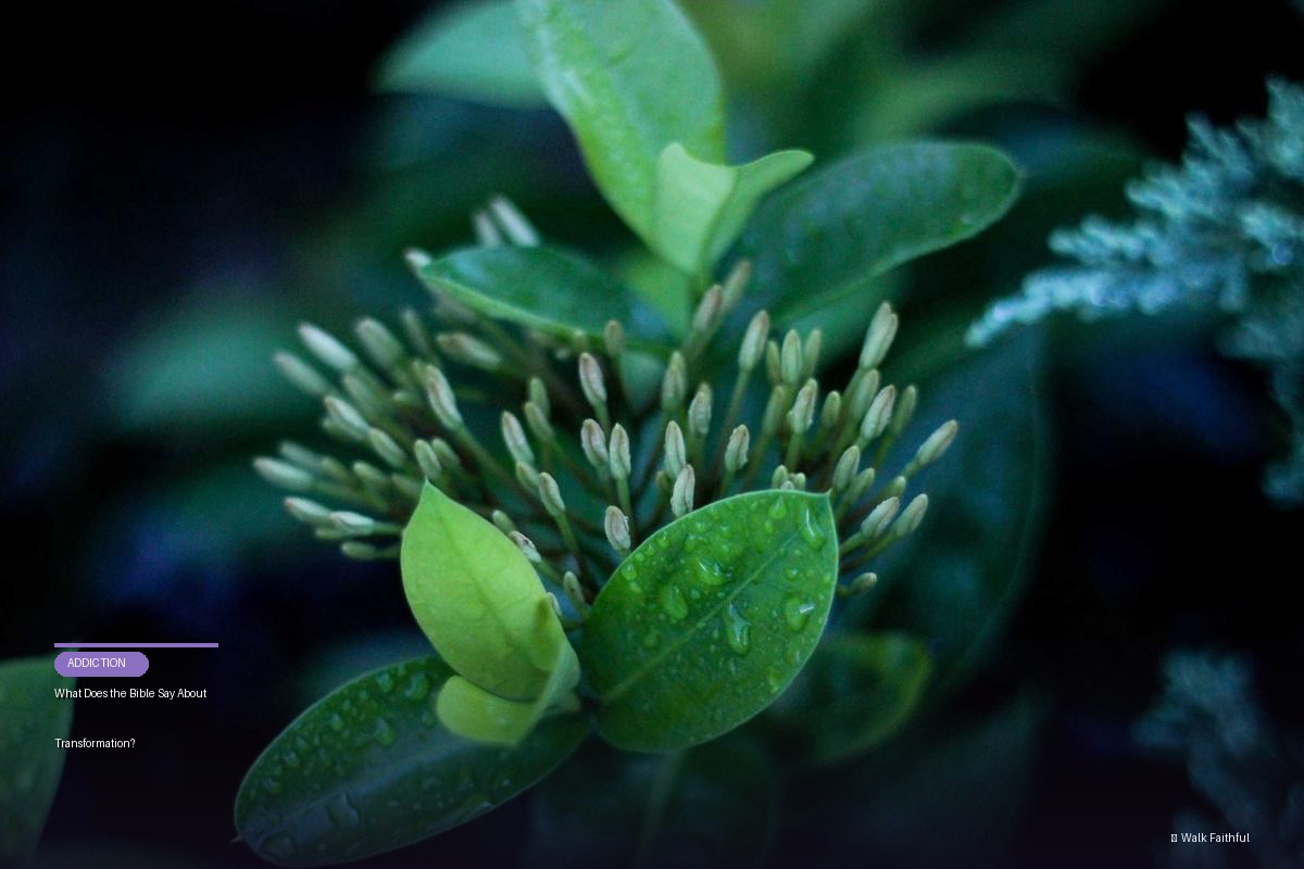 What Does the Bible Say About Transformation?