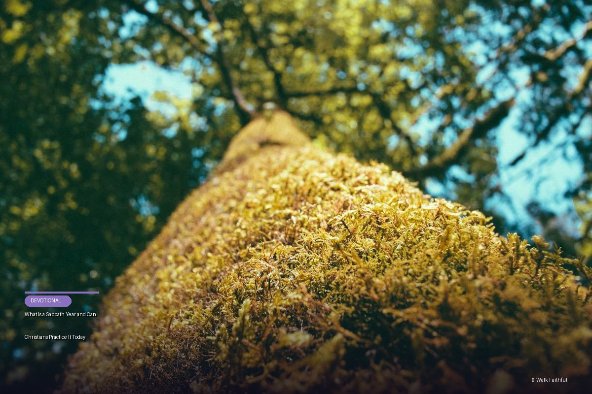 What Is a Sabbath Year and Can Christians Practice It Today