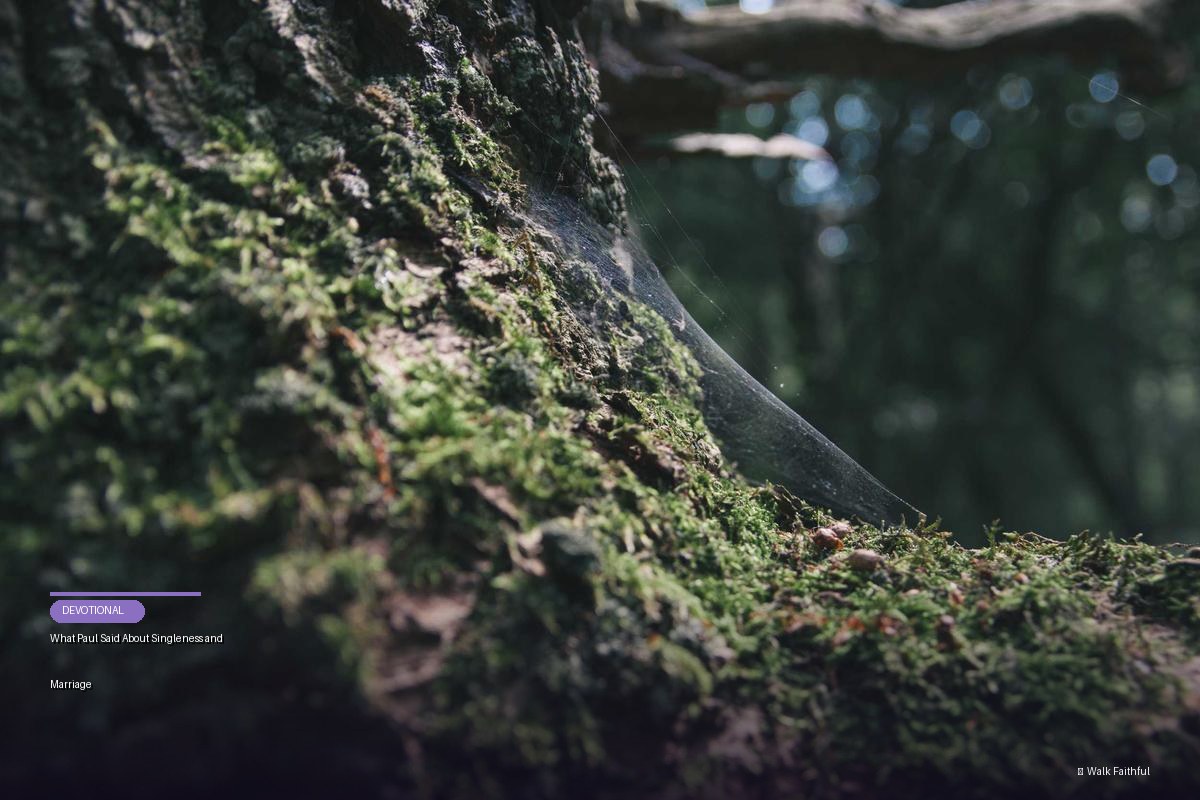 What Paul Said About Singleness and Marriage