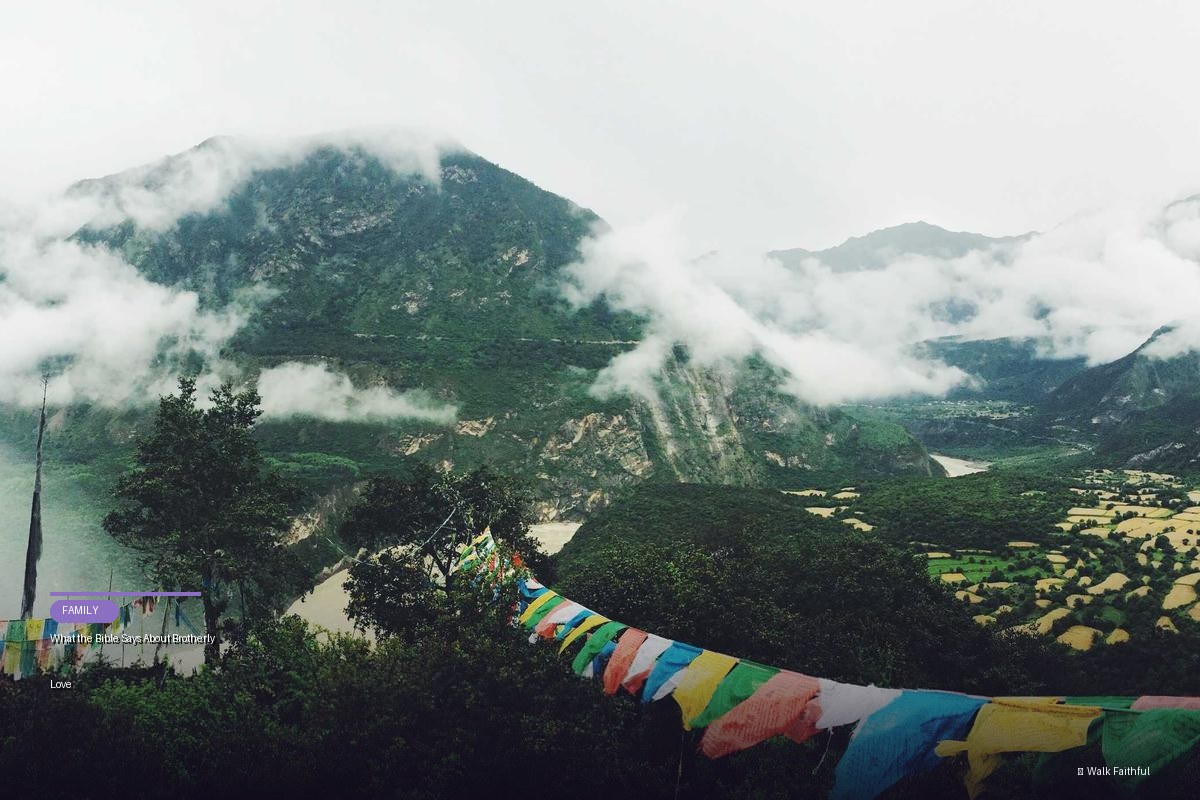 What the Bible Says About Brotherly Love