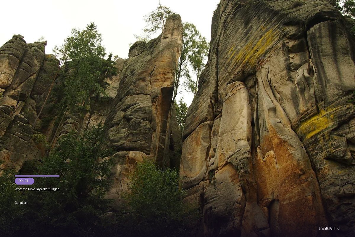 What the Bible Says About Organ Donation