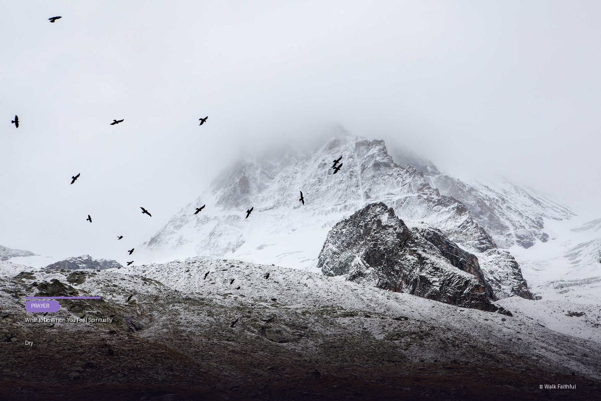 What to Do When You Feel Spiritually Dry