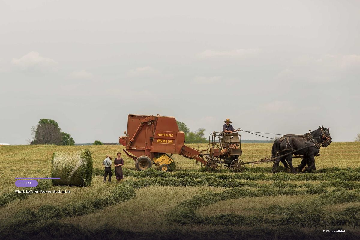 What to Do When You Feel Stuck in Life