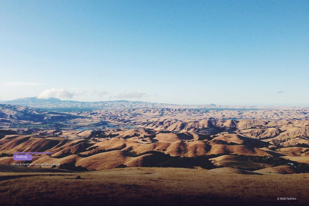 What to Do When You Feel Stuck in Life