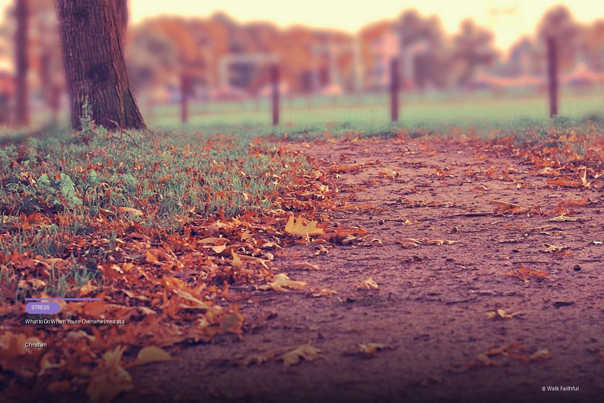 What to Do When You’re Overwhelmed as a Christian