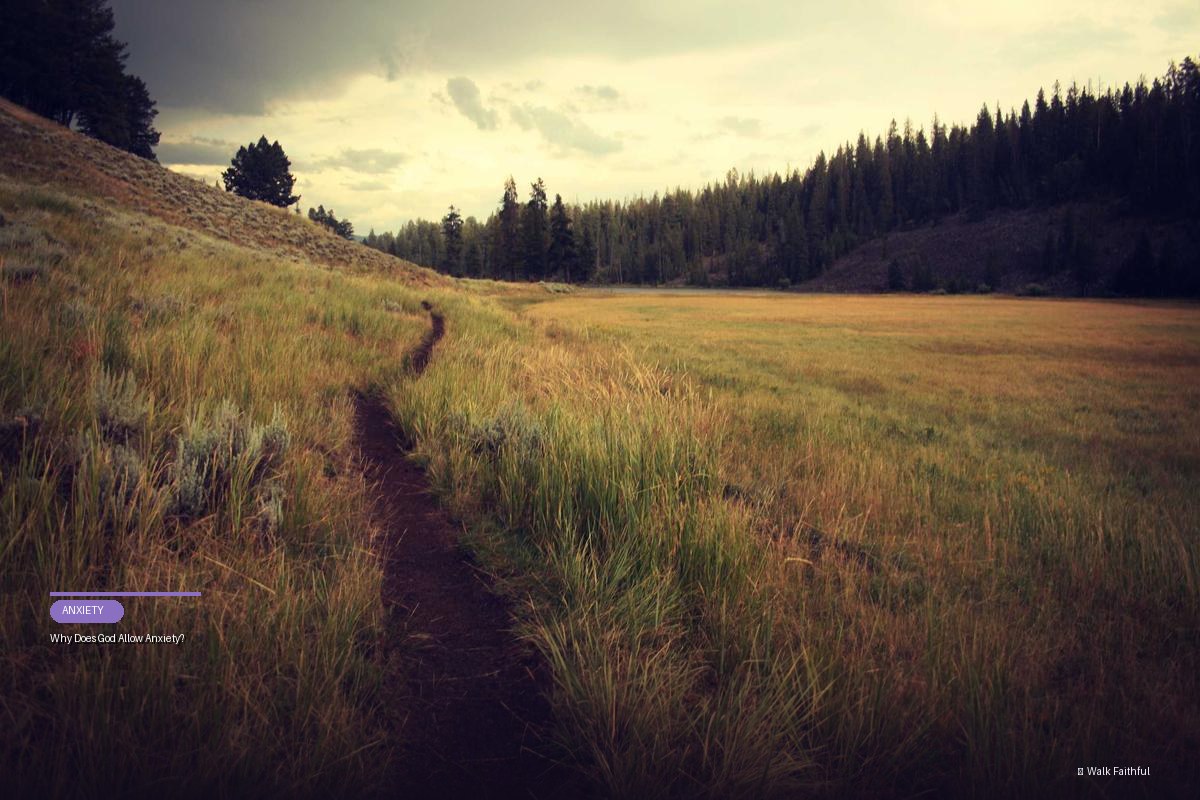 Why Does God Allow Anxiety?